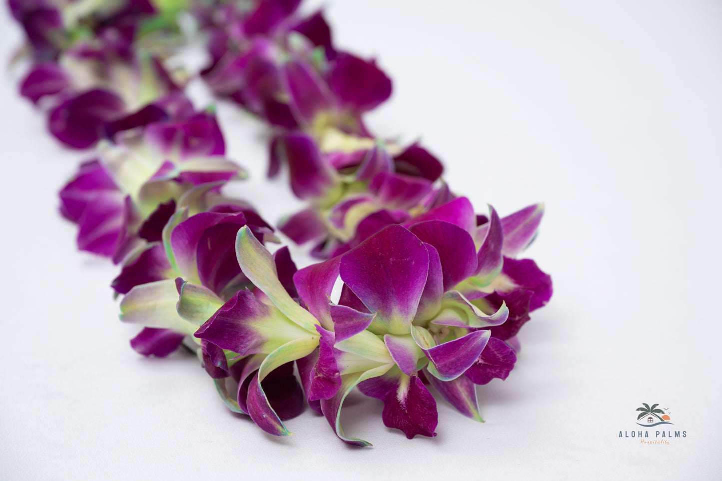 Hand-Delivered Fresh Multi-Color Deluxe Orchid Lei Greetings
