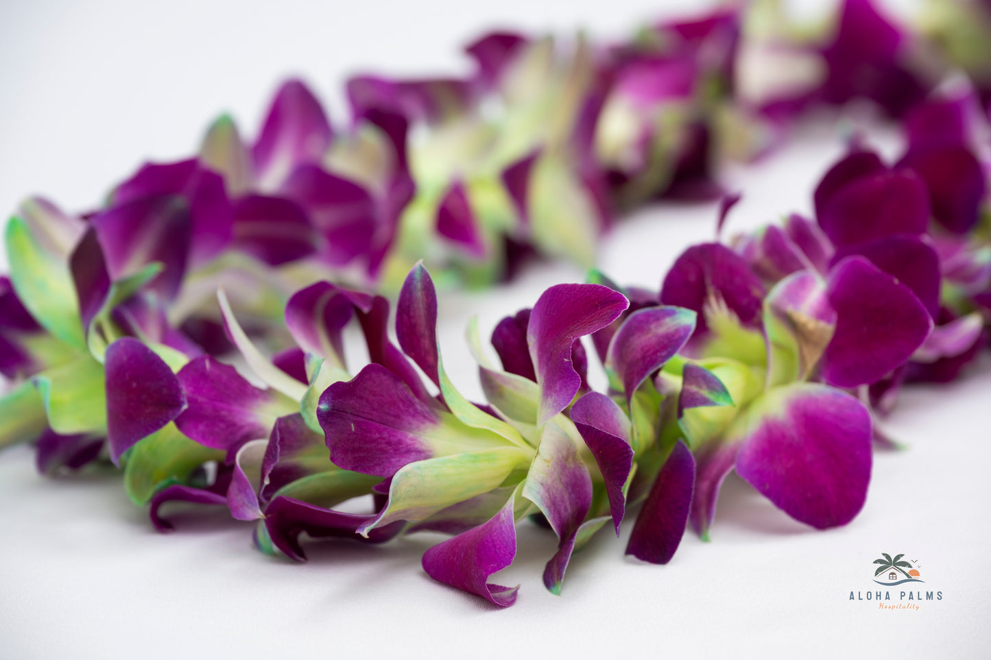 Hand-Delivered Fresh Multi-Color Deluxe Orchid Lei Greetings