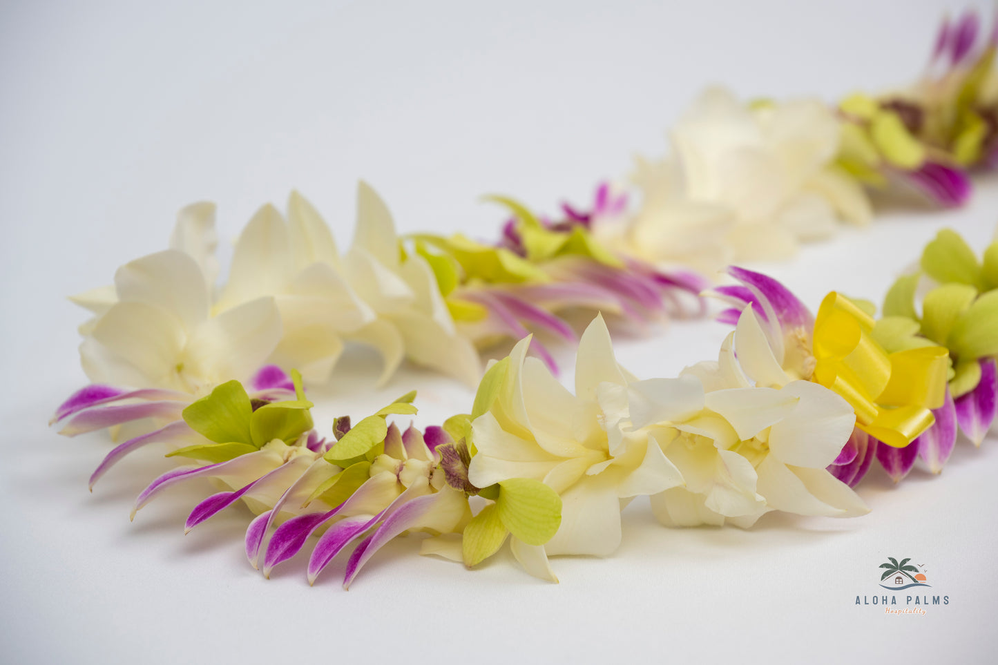 Hand-Delivered Fresh Multi-Color Deluxe Orchid Lei Greetings