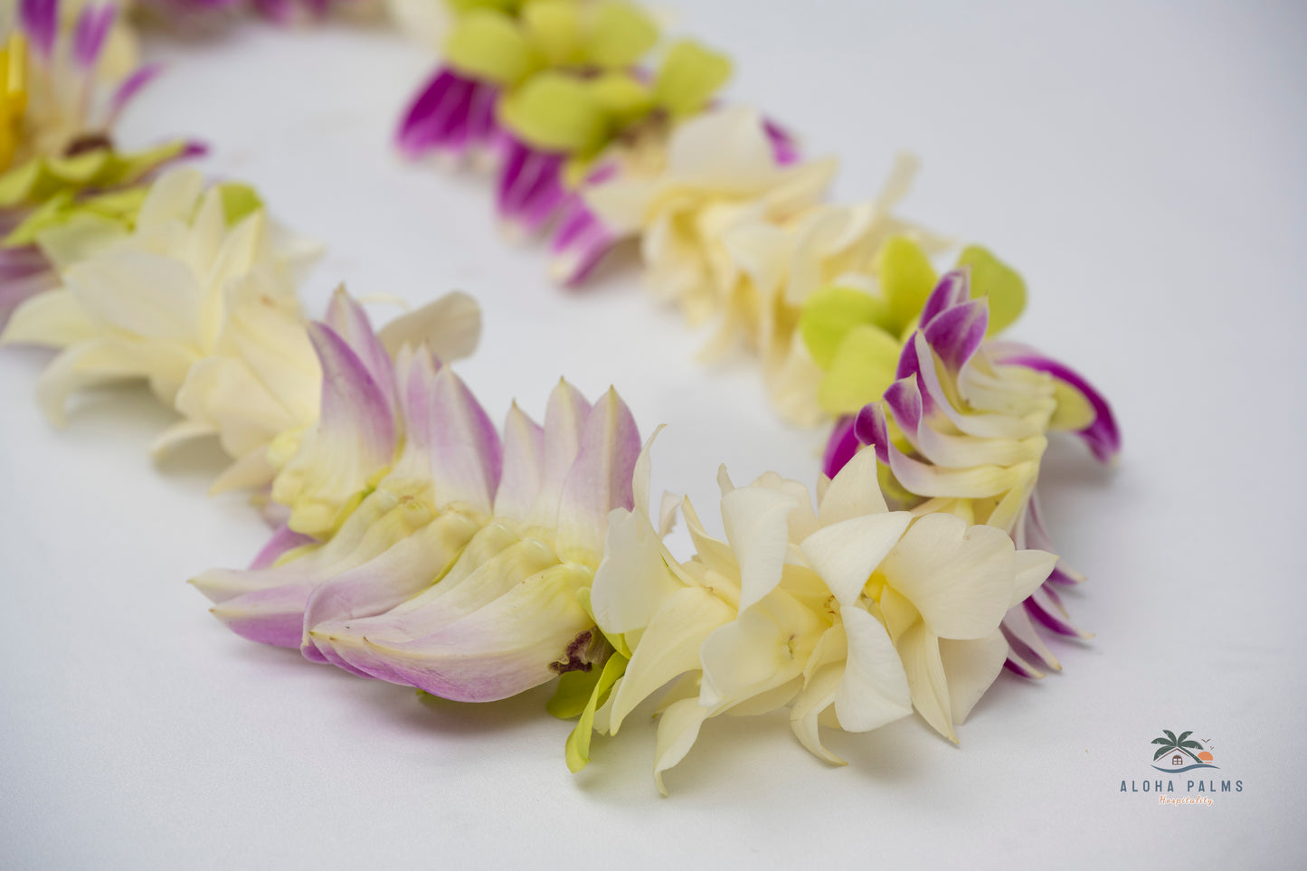 Hand-Delivered Fresh Multi-Color Deluxe Orchid Lei Greetings