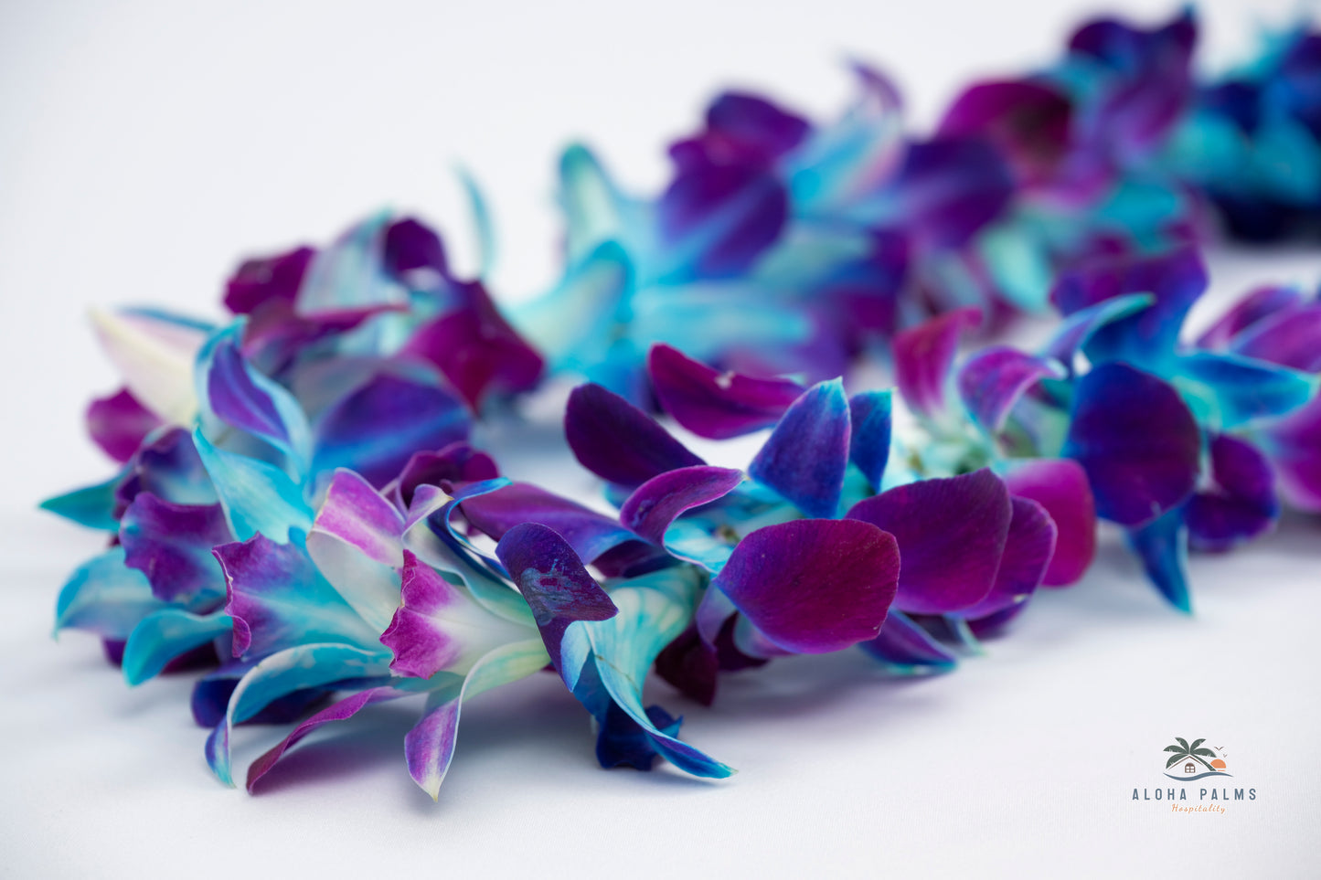 Hand-Delivered Fresh Multi-Color Deluxe Orchid Lei Greetings