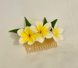 Hair Clips